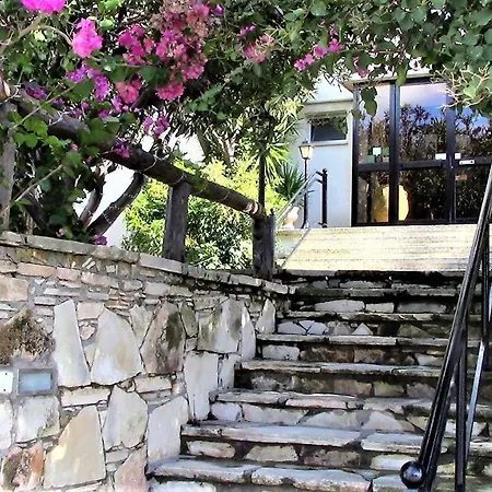 213 Vines * Pissouri
