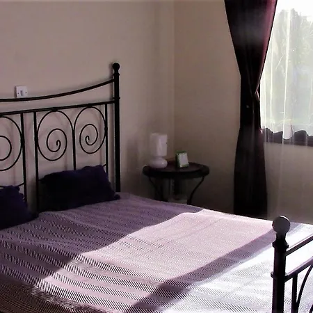 Apartment 213 Vines