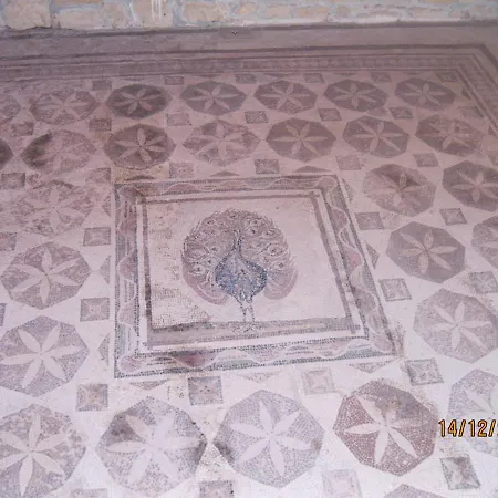 213 Vines Apartment